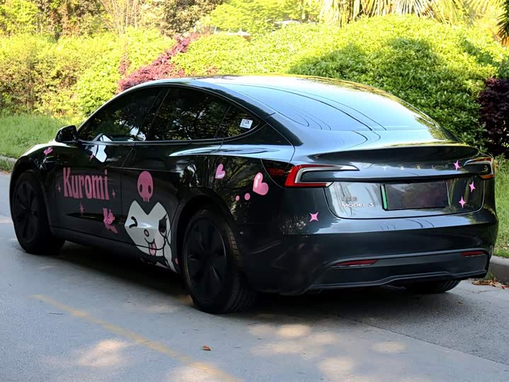 Tesla Model 3 2025 2025款 后轮驱动版