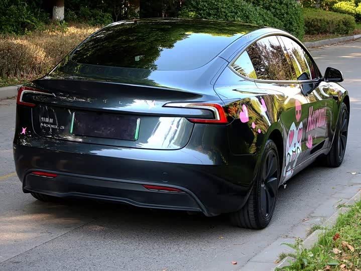 Tesla Model 3 2025 2025款 后轮驱动版