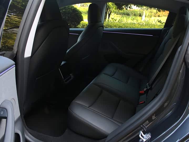 Tesla Model 3 2025 2025款 后轮驱动版