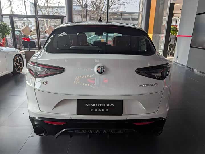 Alfa Romeo Stelvio 2023 2023款 2.0T 280HP Veloce赛道版