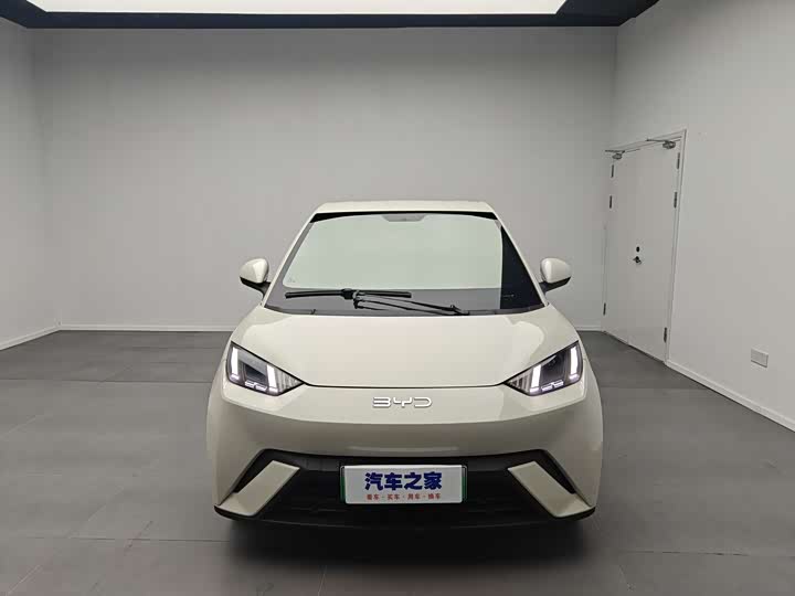 BYD Seagull 2025 2025款 305km 自由版