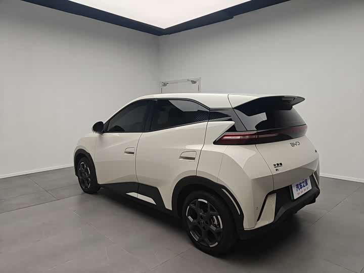 BYD Seagull 2025 2025款 305km 自由版