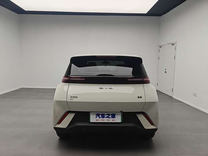BYD Seagull 2025 2025款 305km 自由版