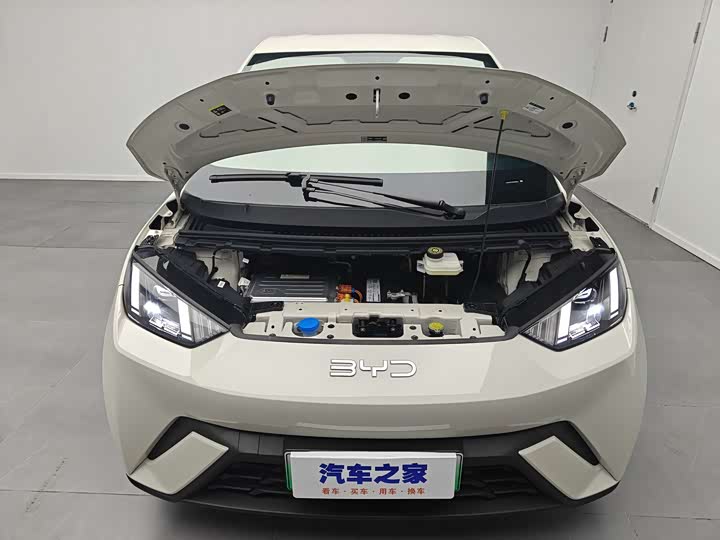 BYD Seagull 2025 2025款 305km 自由版