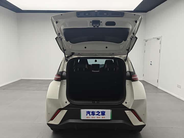 BYD Seagull 2025 2025款 305km 自由版