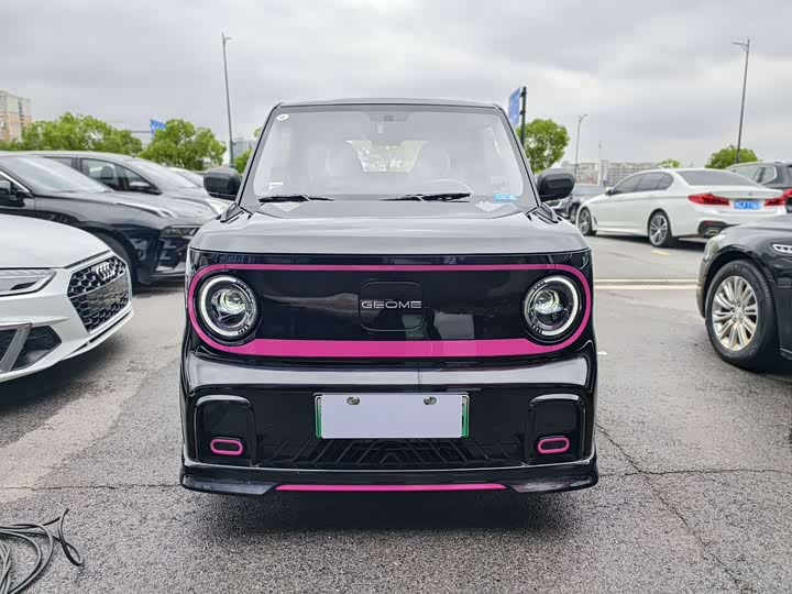 Geely Galaxy Panda Mini 2025 2025款 210km 熊猫卡丁