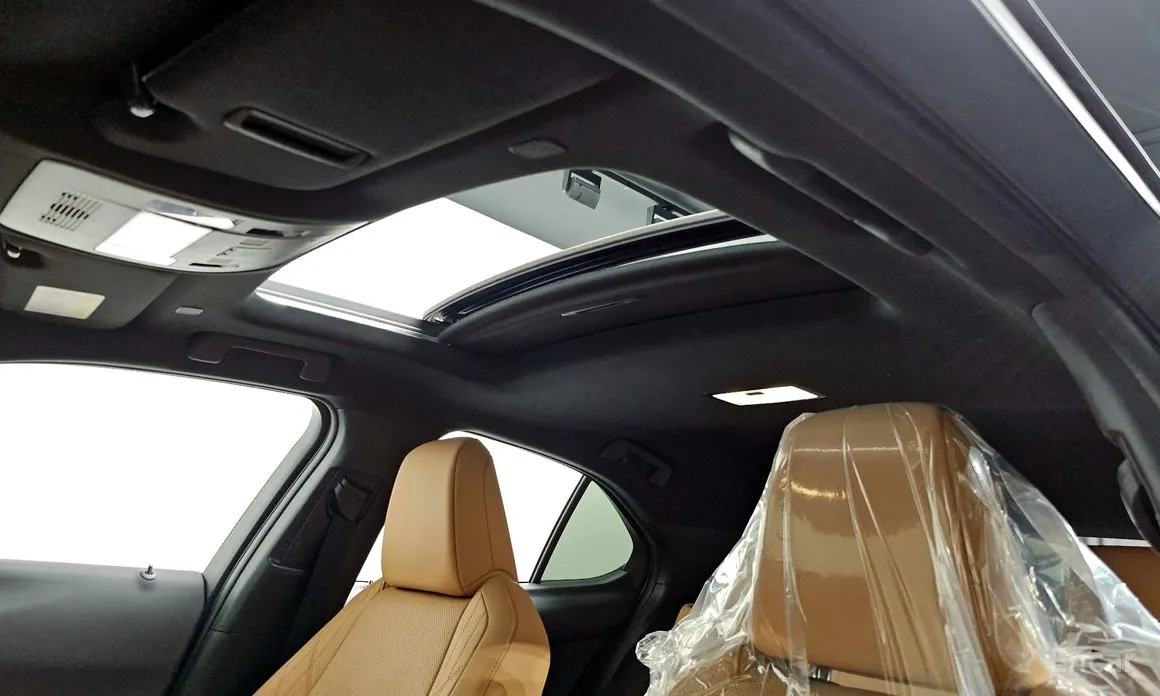 Lexus UX 2019 2.0 2WD