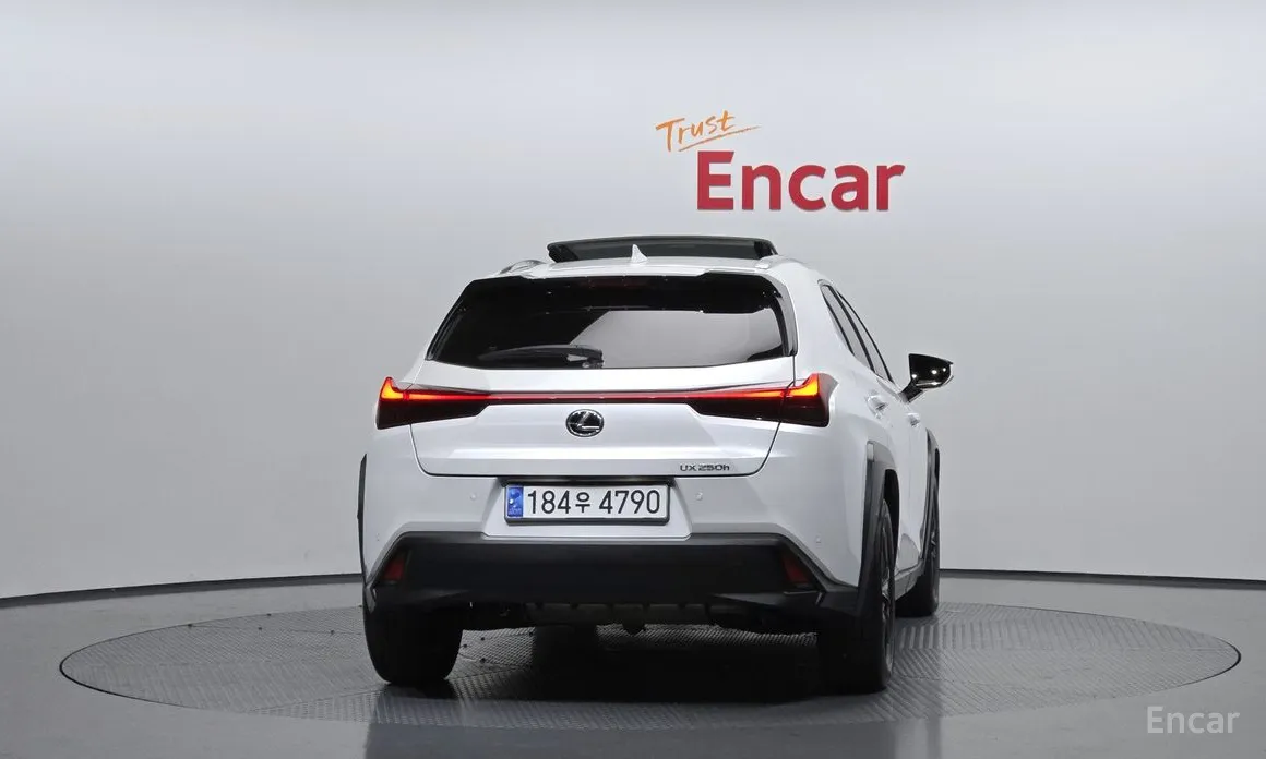 Lexus UX 2019 2.0 2WD
