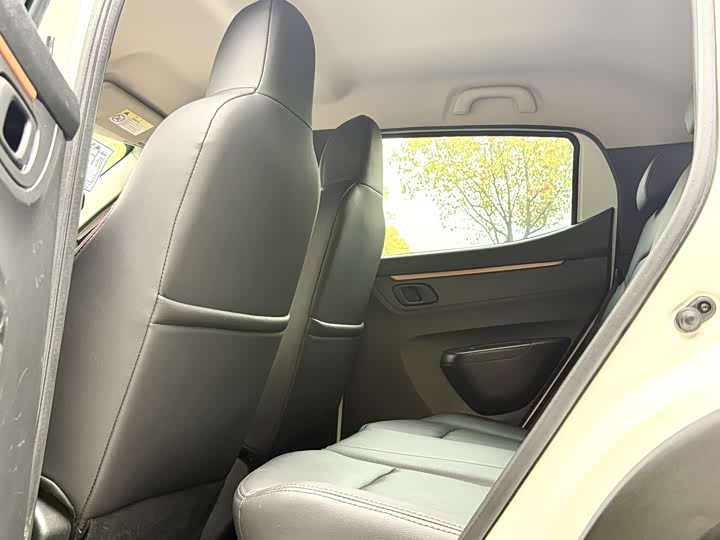 Dongfeng Yipai Nano EX1 2021 2021款 质享版