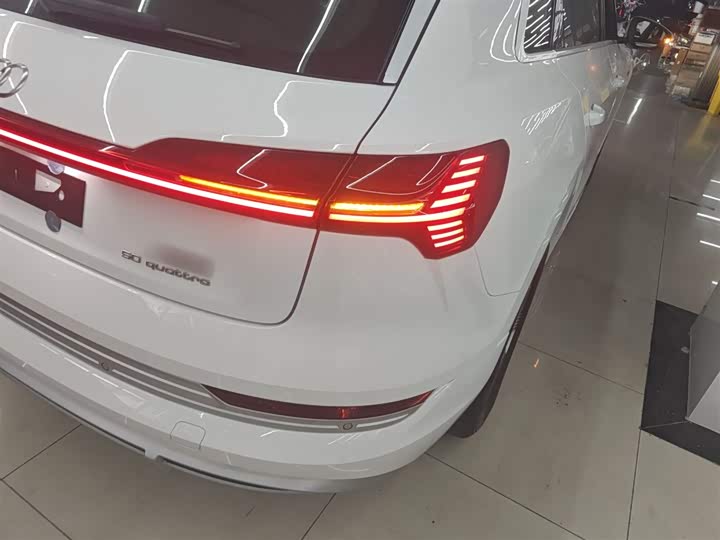 Audi e-tron 2021 2021款 50 quattro 豪华型