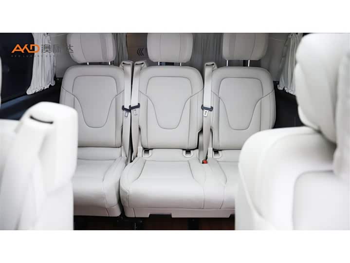 Mercedes-Benz V-Class 2022 2022款 V 260 L 长轴距豪华版
