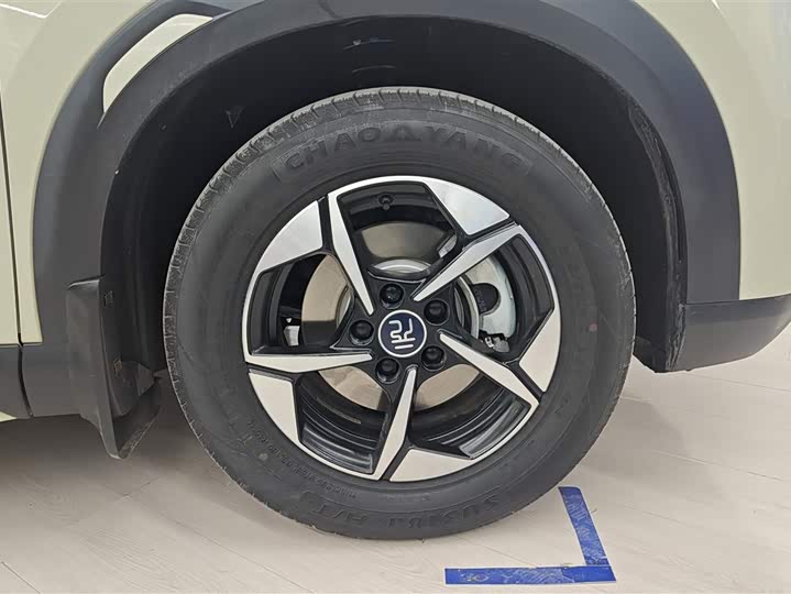 BYD Yuan Up 2024 2024款 401KM 领先型