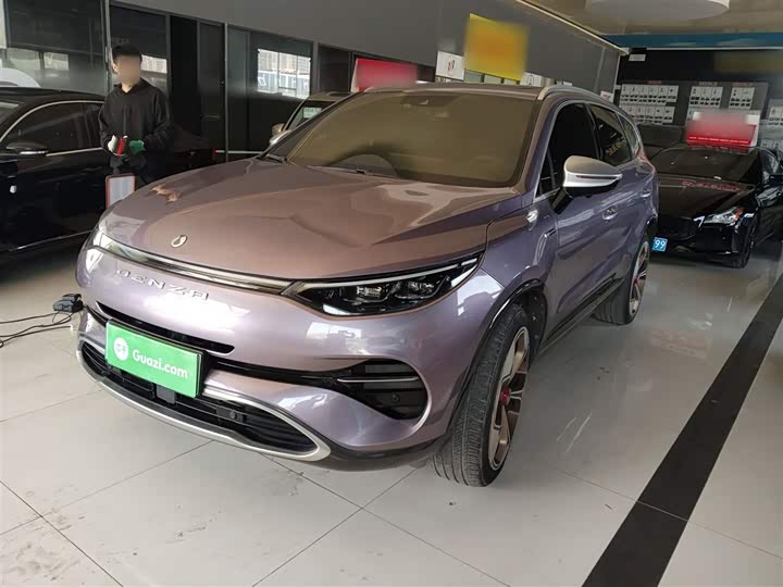 2020 Denza X
