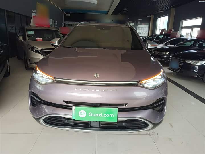 2020 Denza X