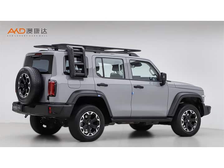 Tank 300 Hybrid 2025 2025款 Hi4-T 37.1kWh