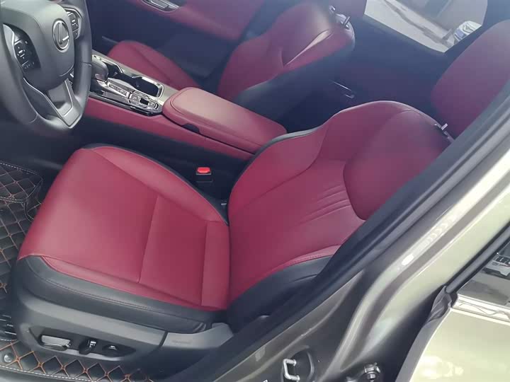 Lexus NX 2023 2023款 260 前驱 创悦版