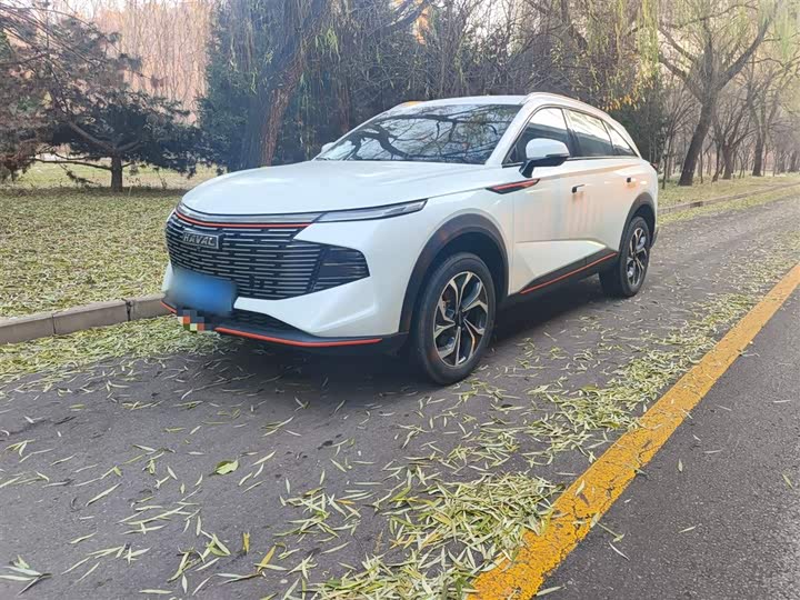2023 Haval F7 (Monster)
