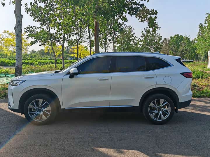 Zdjęcie 3 - Haval H6