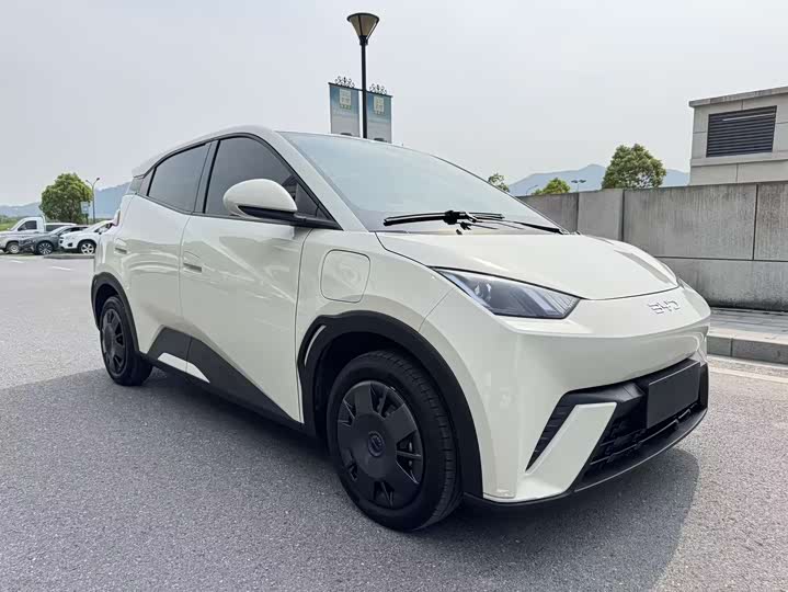 BYD Seagull 2025 2025款 305km 活力版
