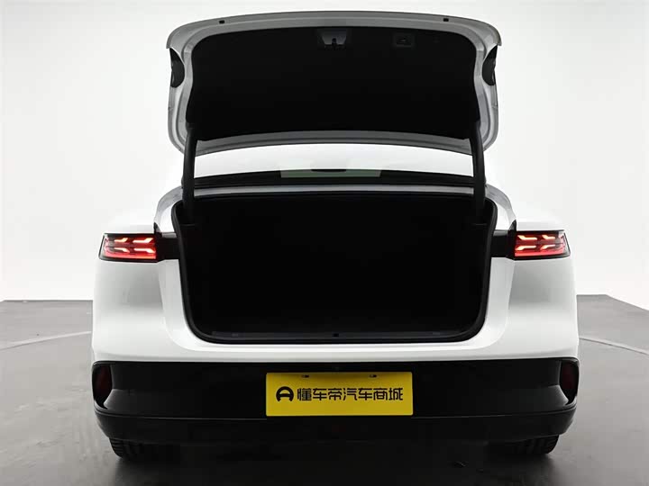Voyah Passion 2024 2024款 PHEV 四驱超长续航旗舰版