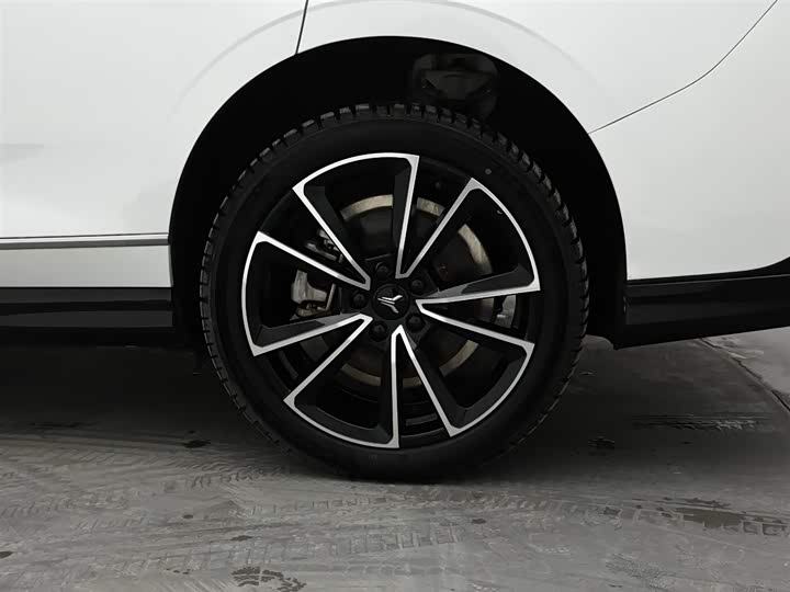 Voyah Passion 2024 2024款 PHEV 四驱超长续航旗舰版