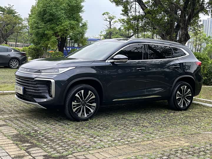 Exeed TXL 2024 2024款 300T 两驱星耀版