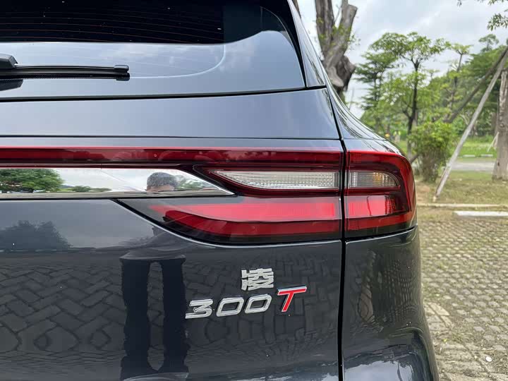Exeed TXL 2024 2024款 300T 两驱星耀版