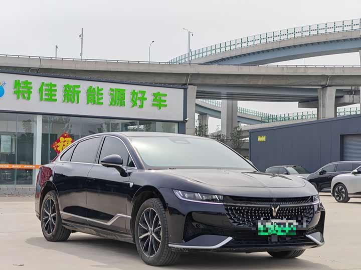 2024 Voyah Passion