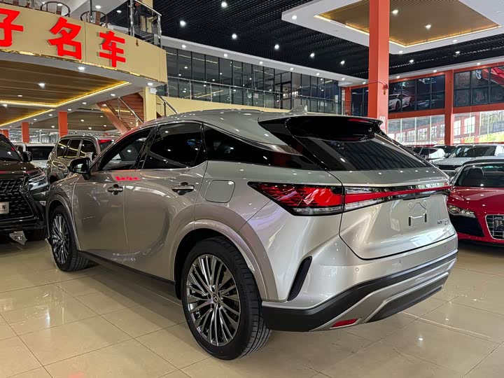 Фото 6 - Lexus RX