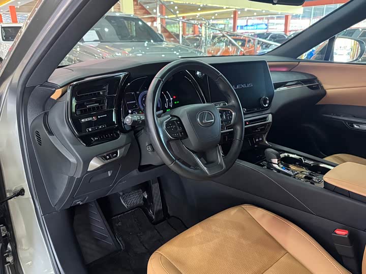 Фото 7 - Lexus RX