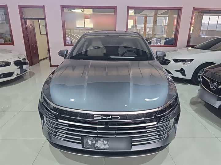 Фото 3 - BYD Destroyer 05