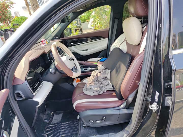 Photo 8 - Geely Monjaro