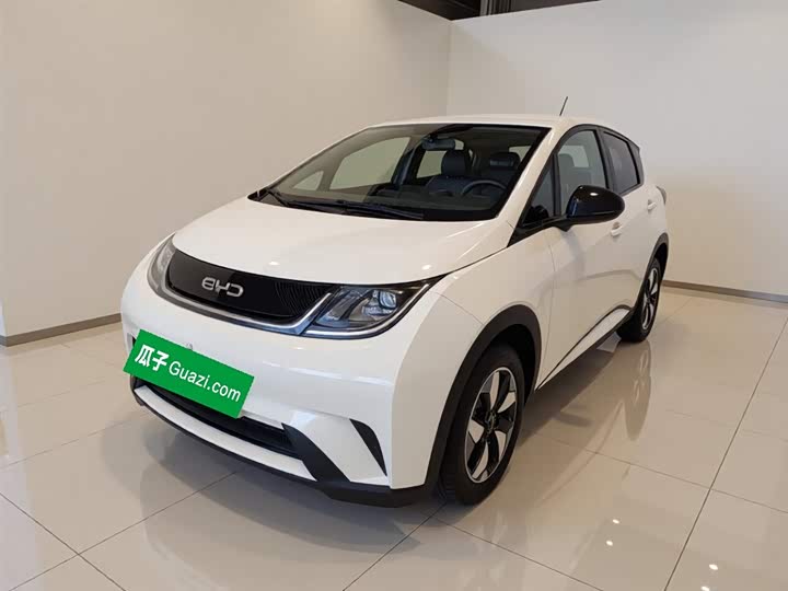 BYD Dolphin 2025 2025款 420km 自由版