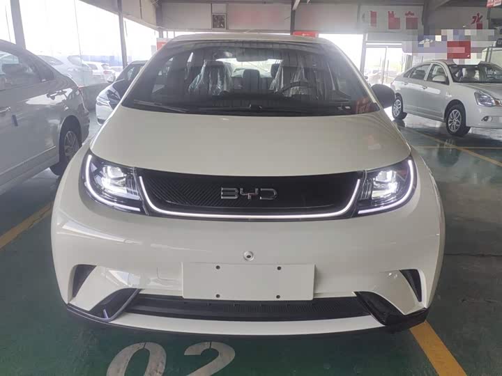 BYD Dolphin 2025 2025款 420km 自由版