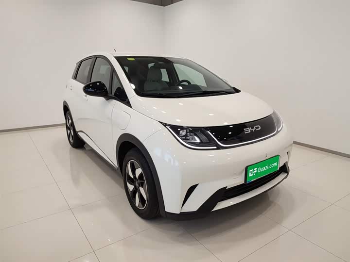 BYD Dolphin 2025 2025款 420km 自由版