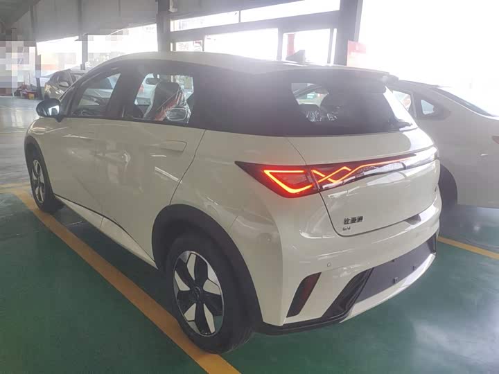 BYD Dolphin 2025 2025款 420km 自由版