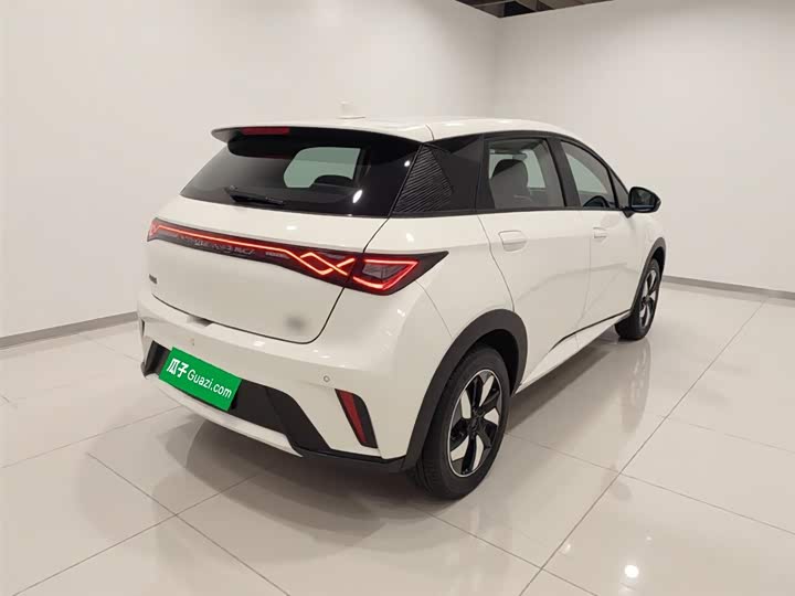 BYD Dolphin 2025 2025款 420km 自由版