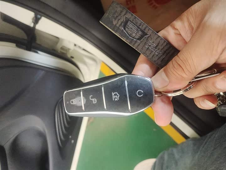 BYD Dolphin 2025 2025款 420km 自由版