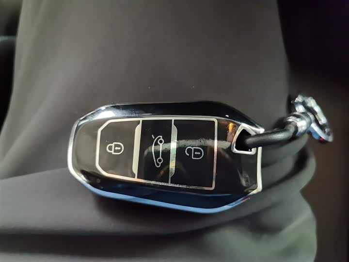 Peugeot 4008 2021 2021款 360THP 实力版