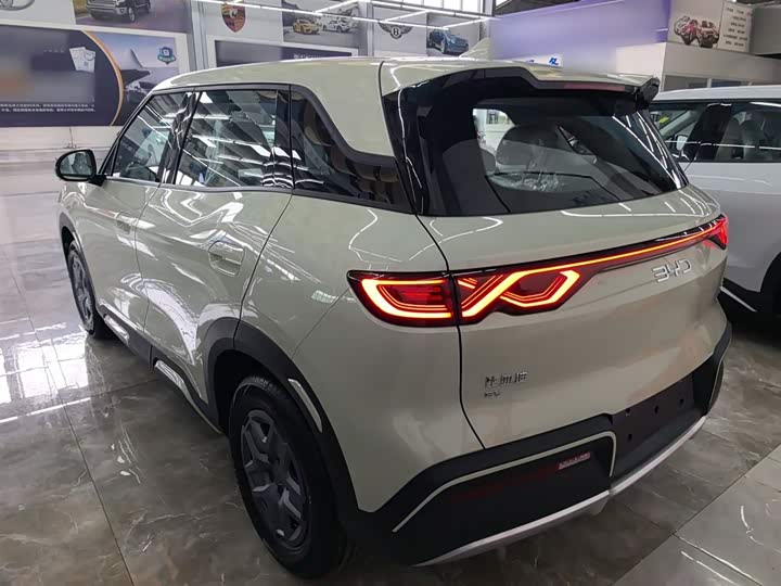 BYD Yuan Up 2025 2025款 301KM 领航型