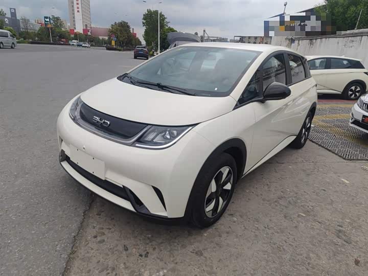 BYD Dolphin 2025 2025款 420km 时尚版