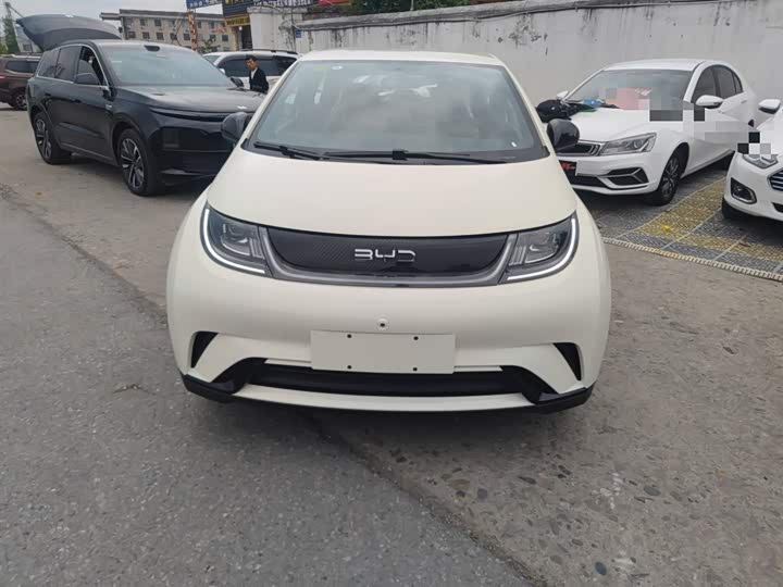 BYD Dolphin 2025 2025款 420km 时尚版