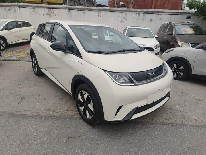 BYD Dolphin 2025 2025款 420km 时尚版