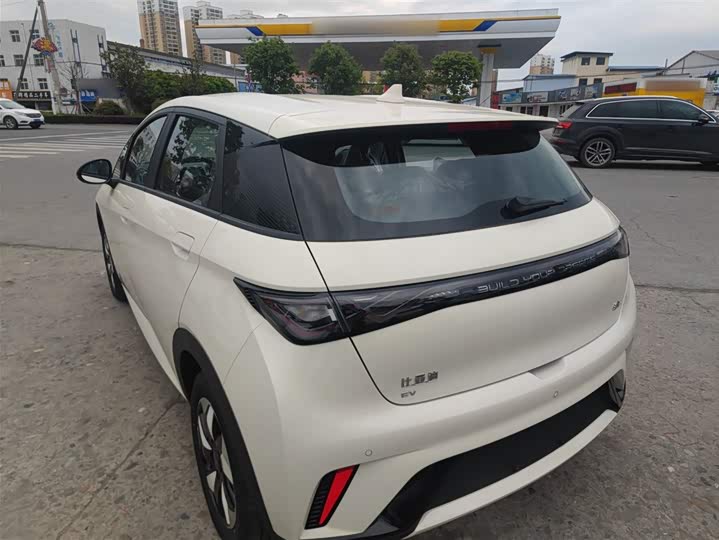 BYD Dolphin 2025 2025款 420km 时尚版