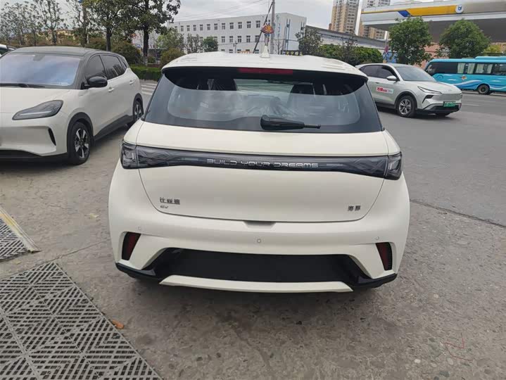 BYD Dolphin 2025 2025款 420km 时尚版