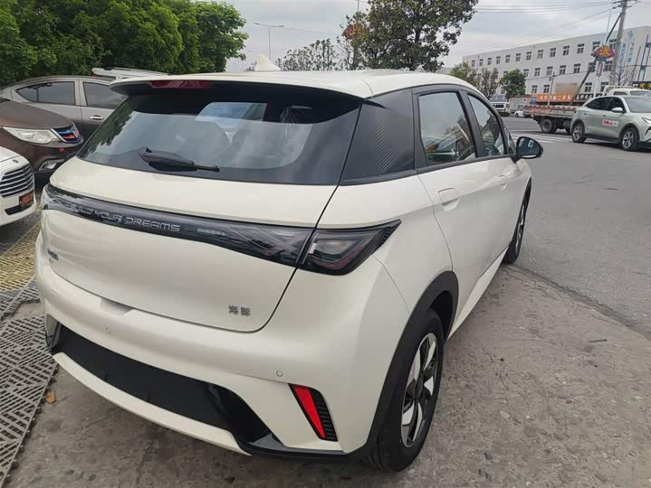 BYD Dolphin 2025 2025款 420km 时尚版