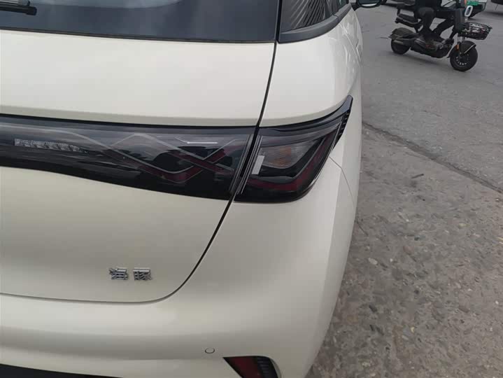 BYD Dolphin 2025 2025款 420km 时尚版