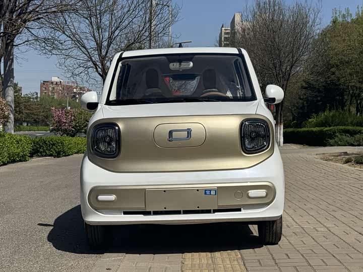 Bestune Pony 2026 2026款 222km 炫彩马