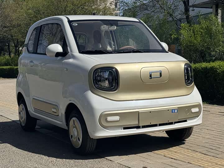 Bestune Pony 2026 2026款 222km 炫彩马