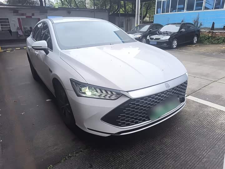 Фото 4 - BYD Qin Plus